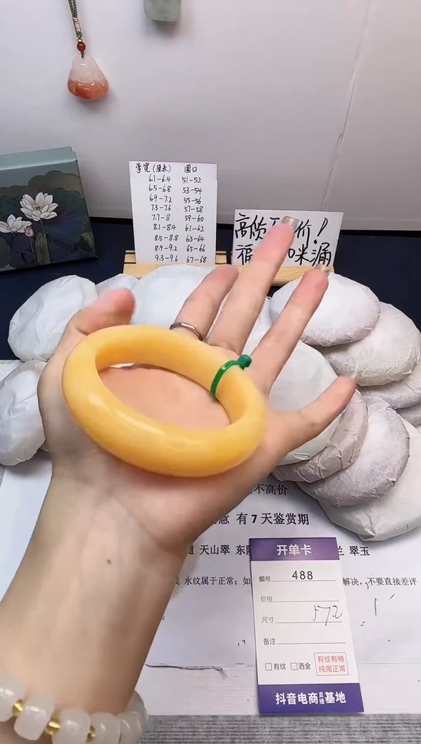 【闪购商品】石英质玉手镯未镶嵌488-财气镯-圈口57