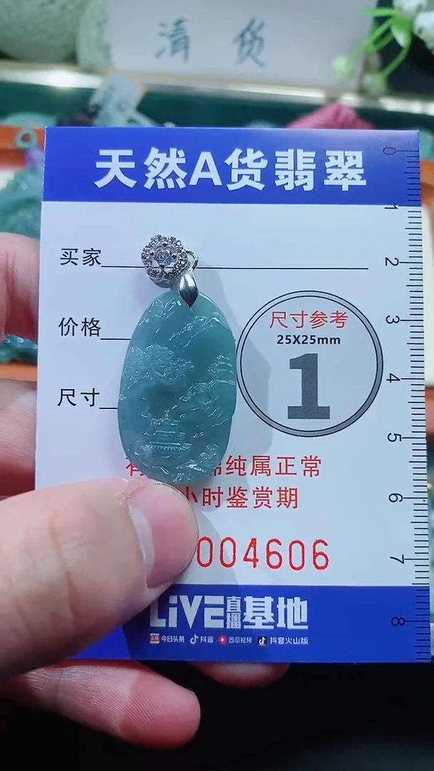 【闪购商品】翡翠颈饰未镶嵌天然A货翡翠一件