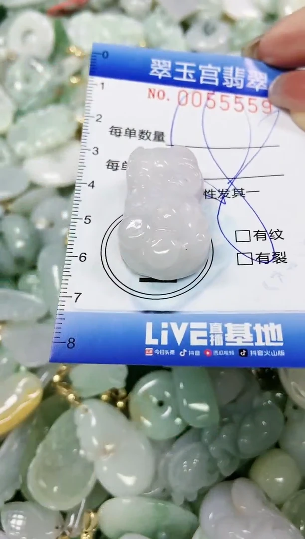 【闪购商品】翡翠颈饰未镶嵌闪购0055559