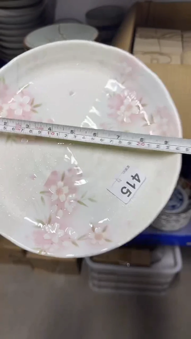 圆形日本进口陶瓷餐具 24厘米平盘