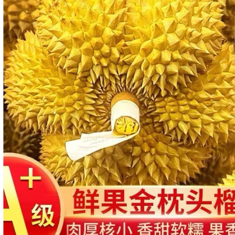 XL一号泰国金枕榴莲【一物一拍】带壳发货软糯香甜请勿生切