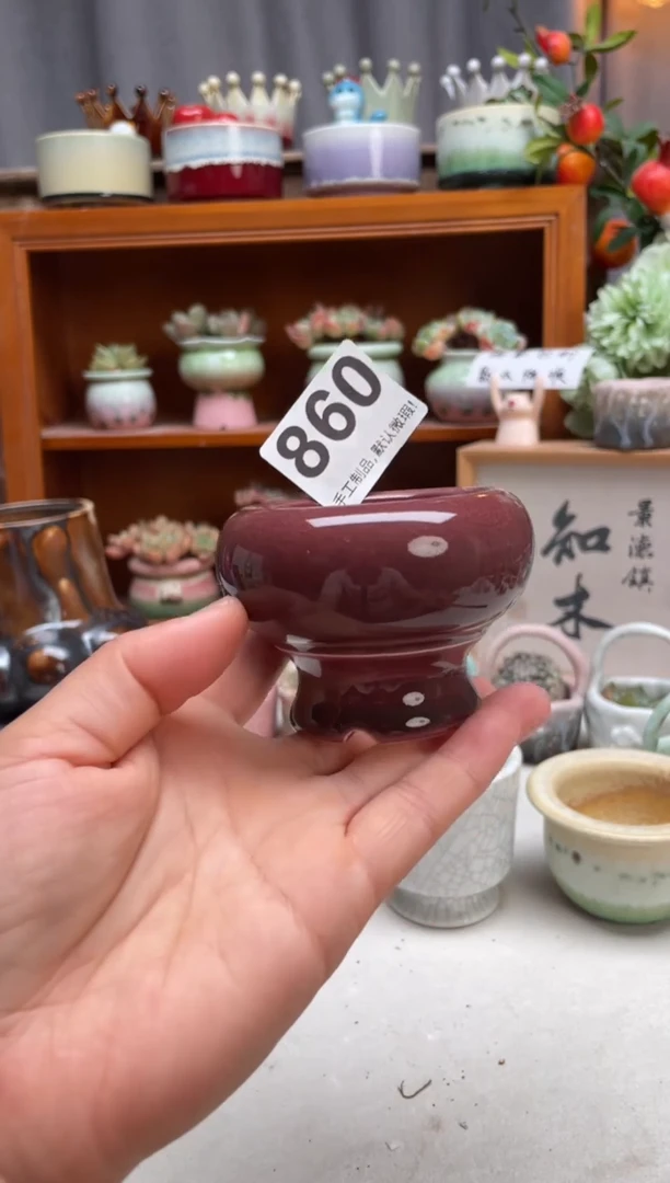 瓷片860微瑕知木小芳花盆直播编号