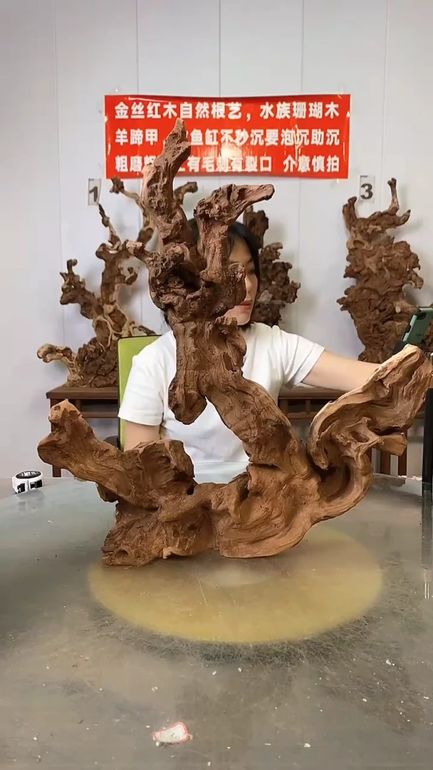香榧木阿***7金丝红木   羊蹄甲