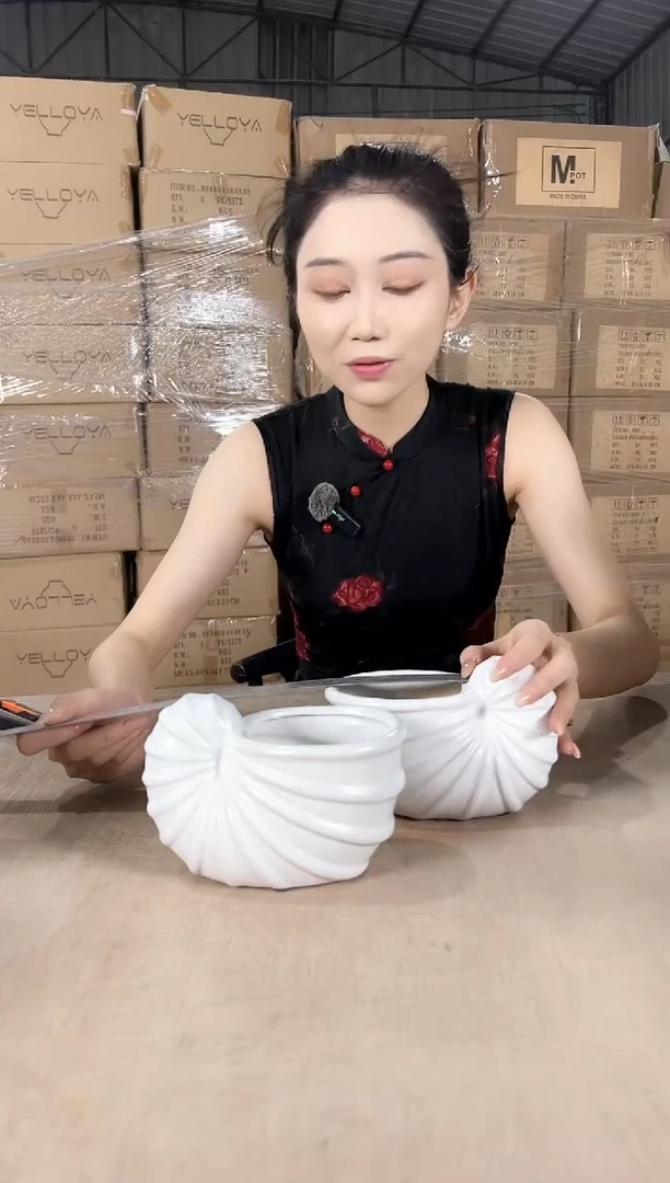 海螺白色小号10x16x9两个