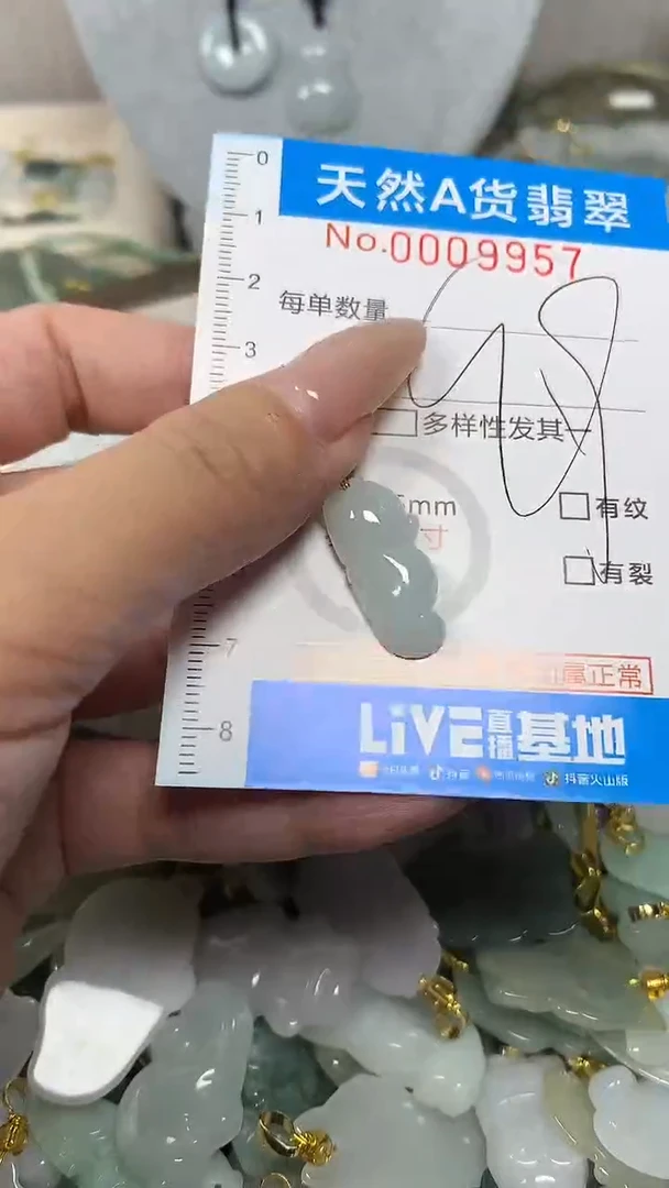翡翠未镶嵌颈饰净货挂件-9957