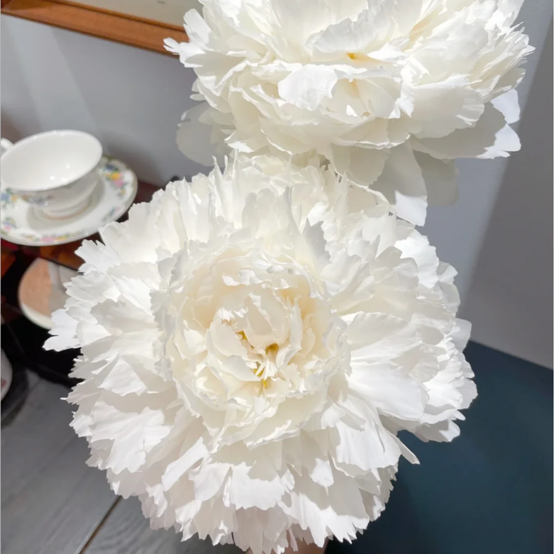 【大聪明卖花】奶油碗芍药鲜花  任意两单花材顺丰冷链或德邦快递