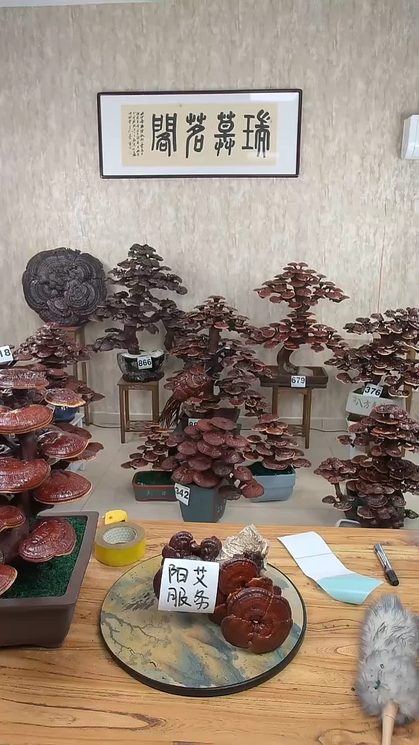 以实际为准阳****像00076
