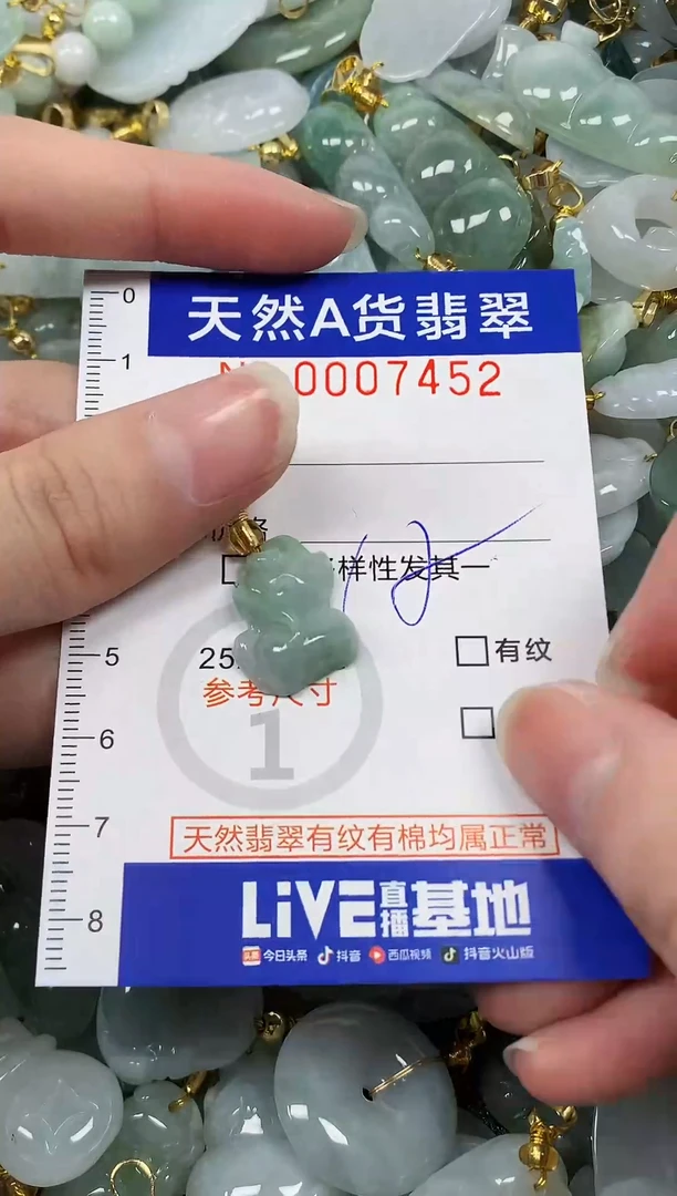 颈饰未镶嵌翡翠纯天然a货翡翠