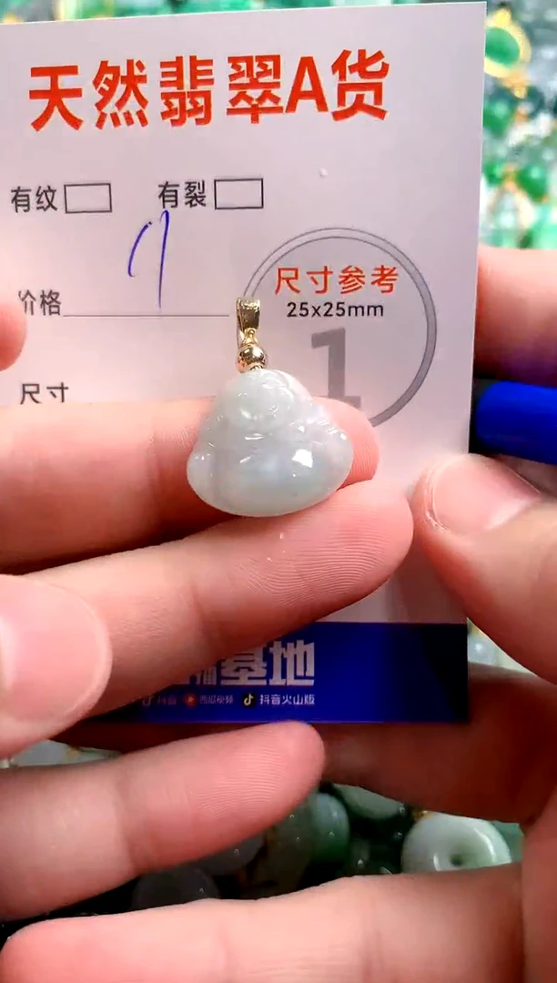 翡翠未镶嵌颈饰24000465