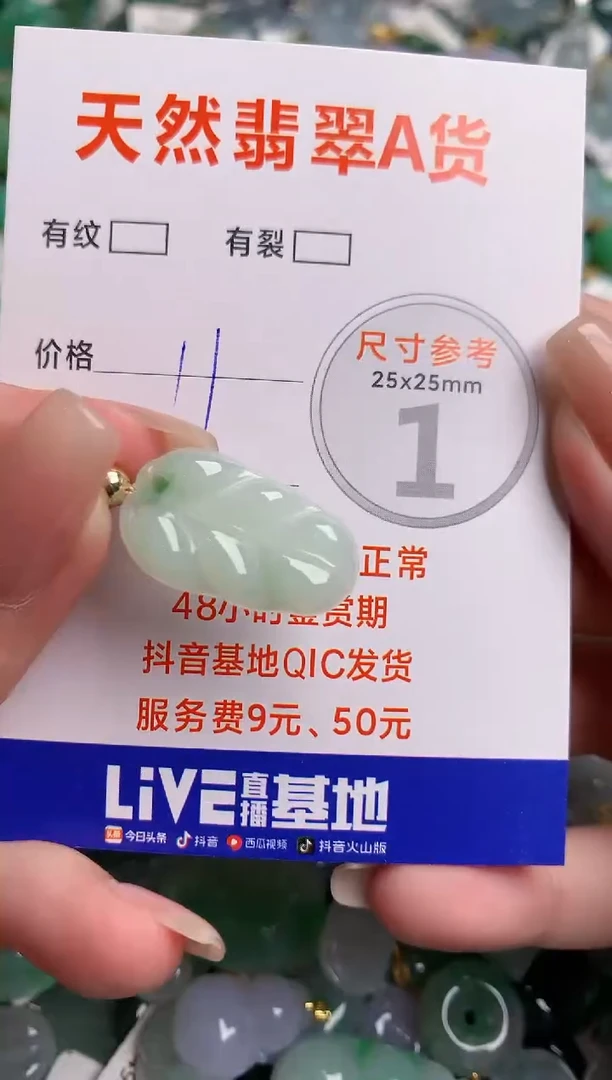 翡翠未镶嵌颈饰23001953