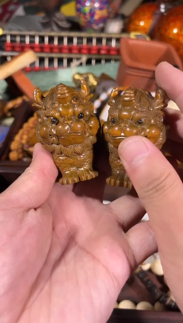 黄杨木11111111111111111111