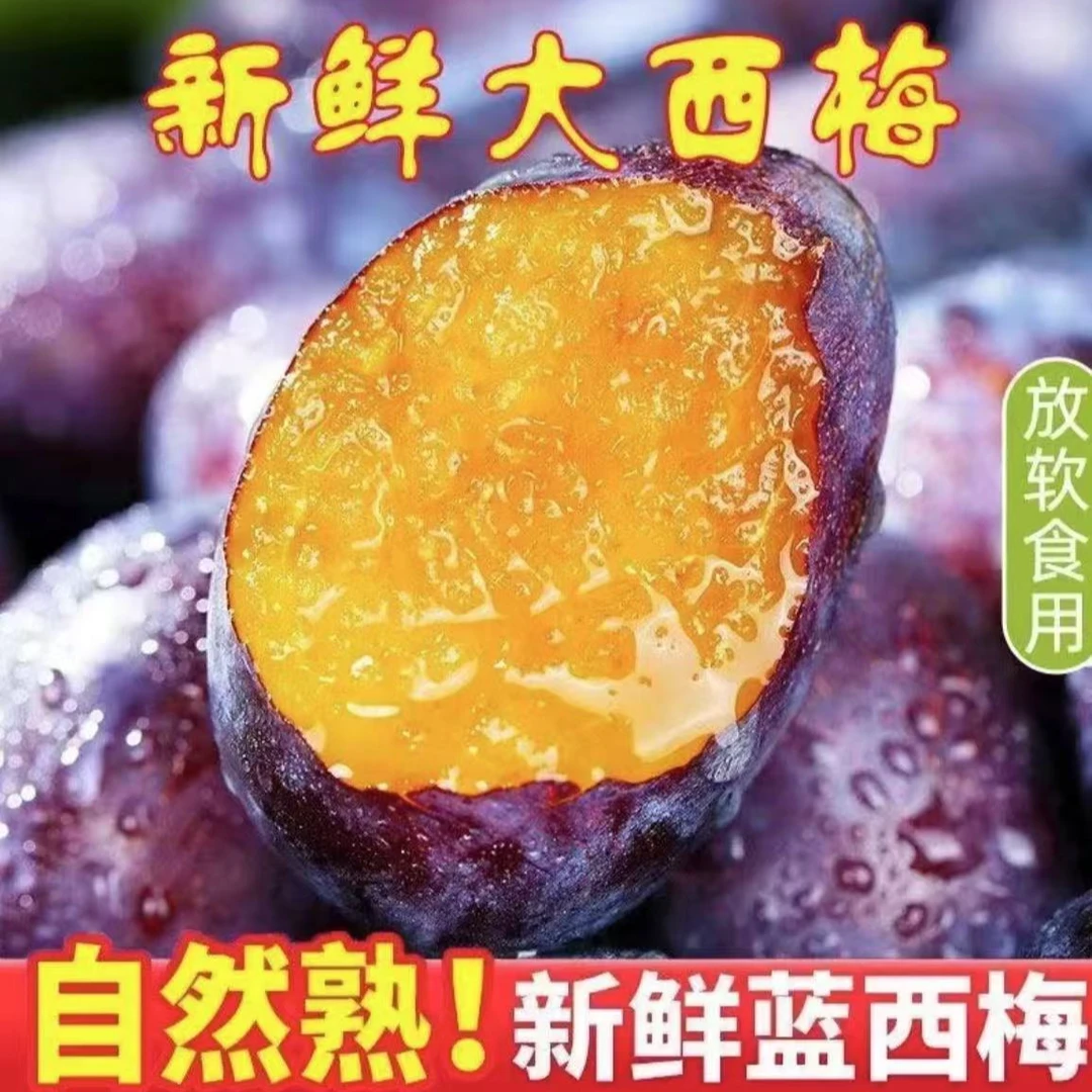 【升级果王】新鲜应季现摘大西梅时令正宗产地直发西梅李子酸甜可口