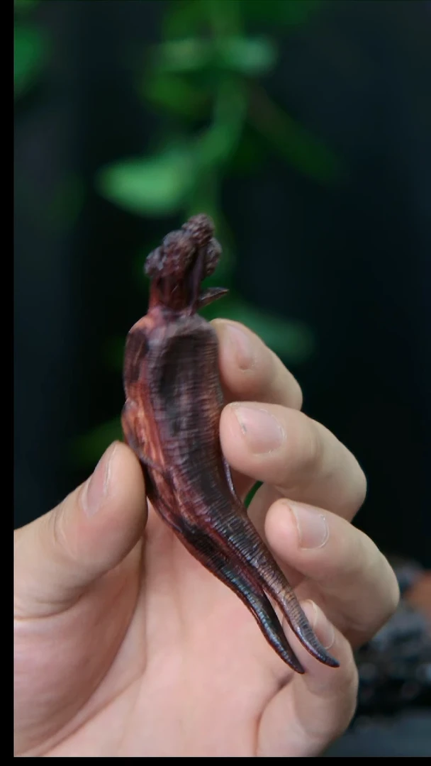 【闪购商品】黄花梨/降香黄檀手串/手链多彩紫油梨人生如意
