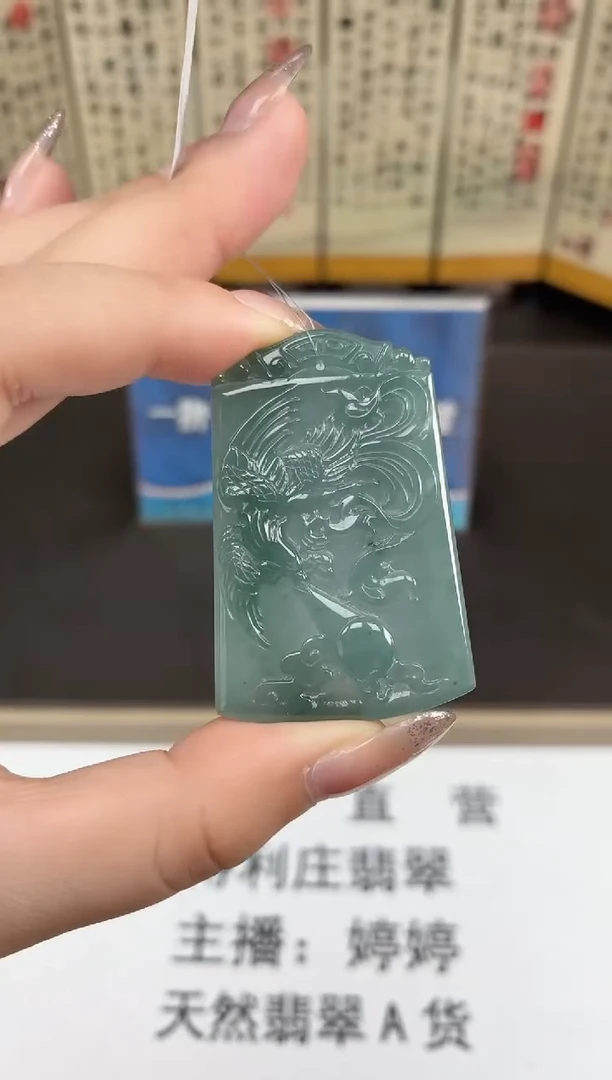 颈饰未镶嵌翡翠DLZ25110371