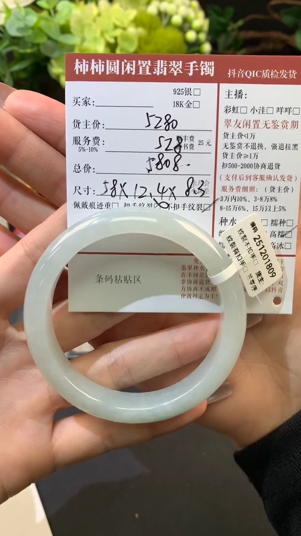 未镶嵌手镯翡翠姐姐251109006