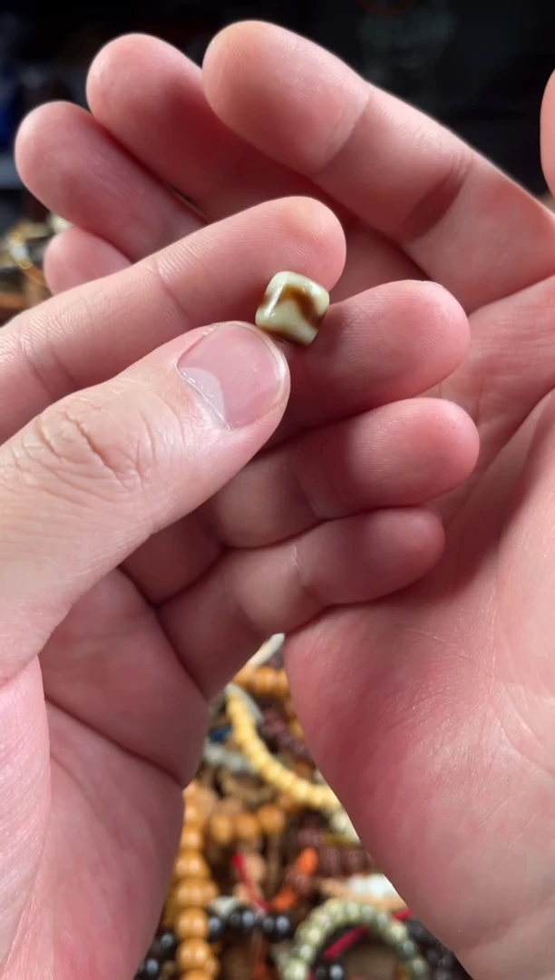 未镶嵌.玛瑙/玉髓王胖子文玩工作室虎牙单颗随机发