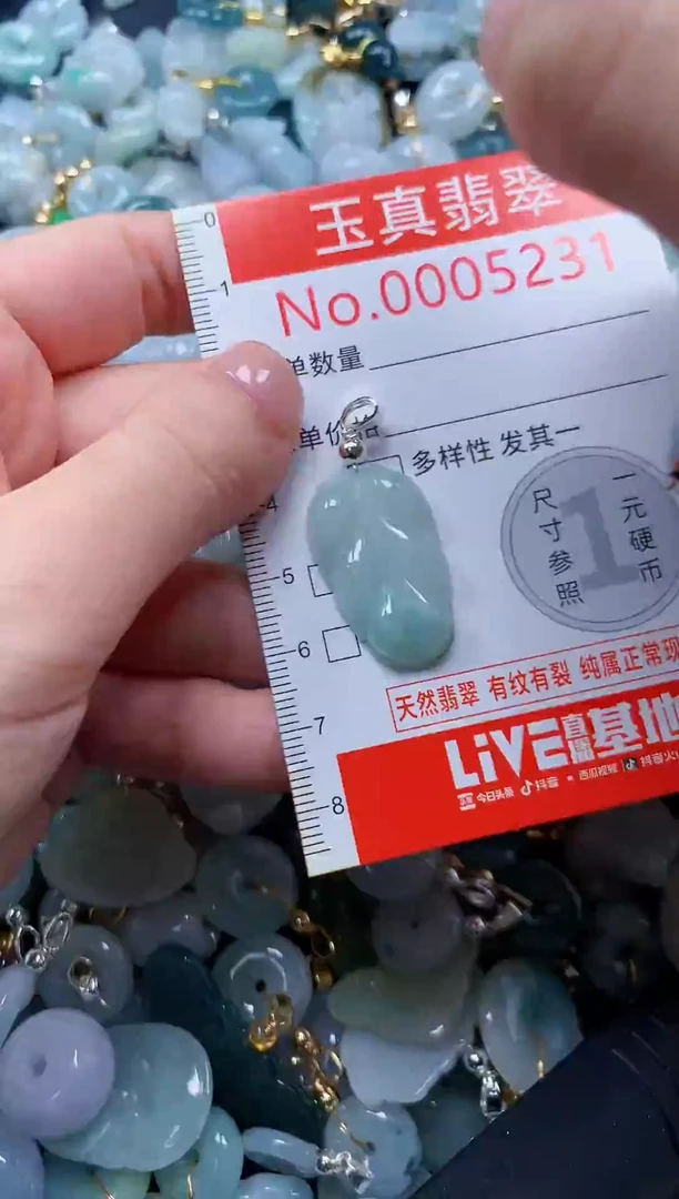 翡翠未镶嵌吊坠(不含链)5231