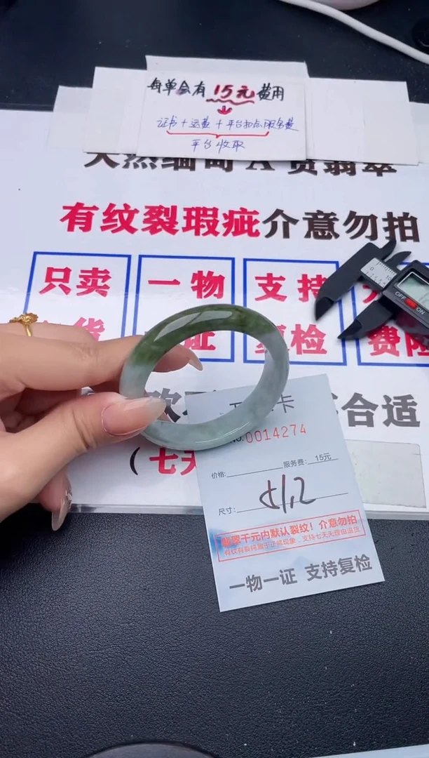 未镶嵌手镯翡翠74