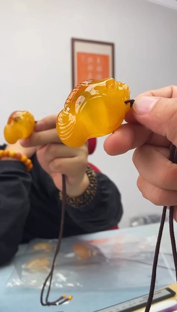 琥珀未镶嵌珠宝奇石假一罚十，鱼多样性发一件017