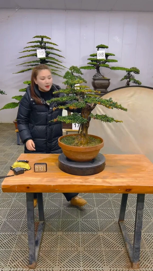 无花朵一物一拍一物一拍