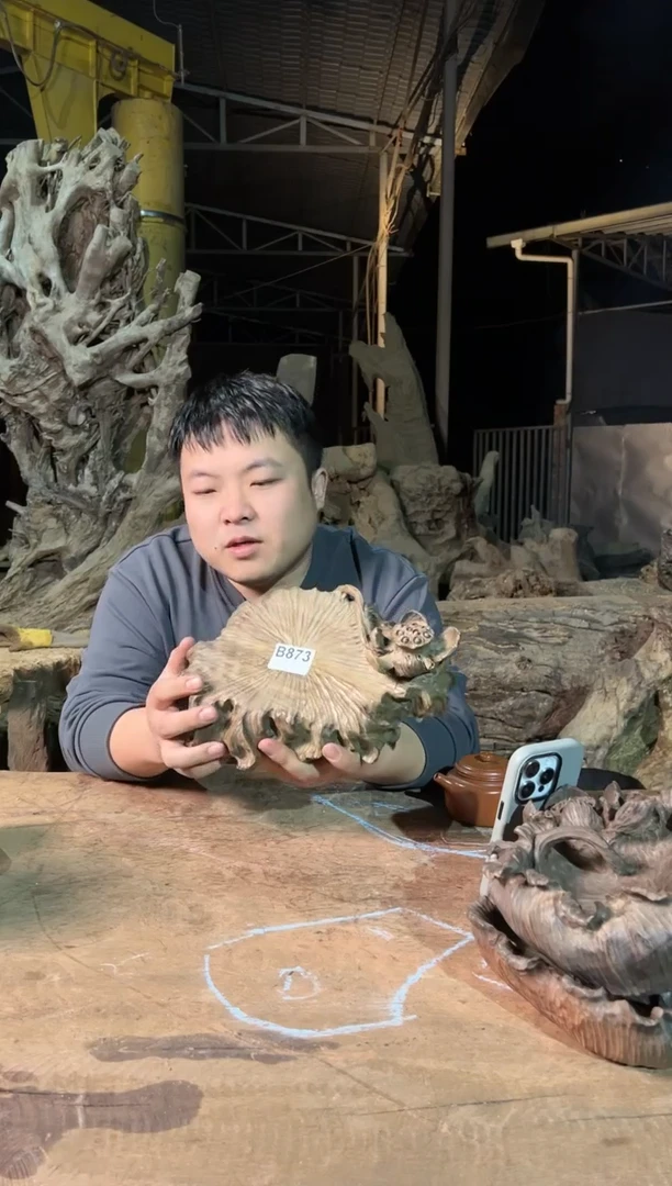 【闪购商品】木873号乌木金丝楠壶承