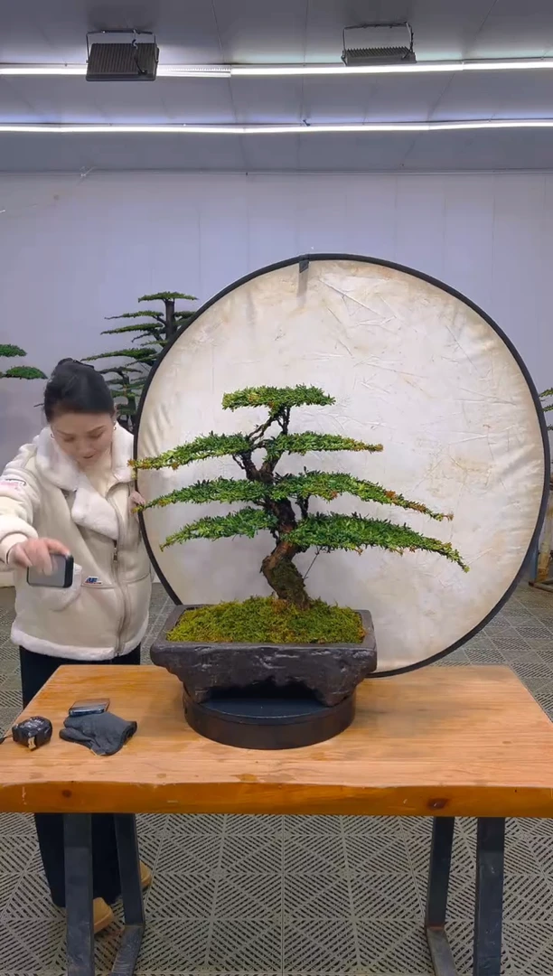 无花朵一物一拍一物一拍