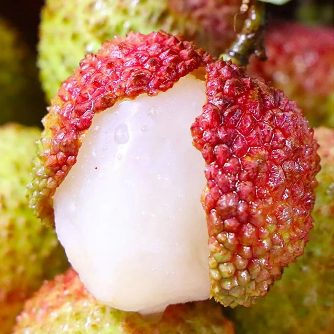 【当天采摘】广西妃子笑荔枝新鲜发货现摘现发皮薄多汁精品水果