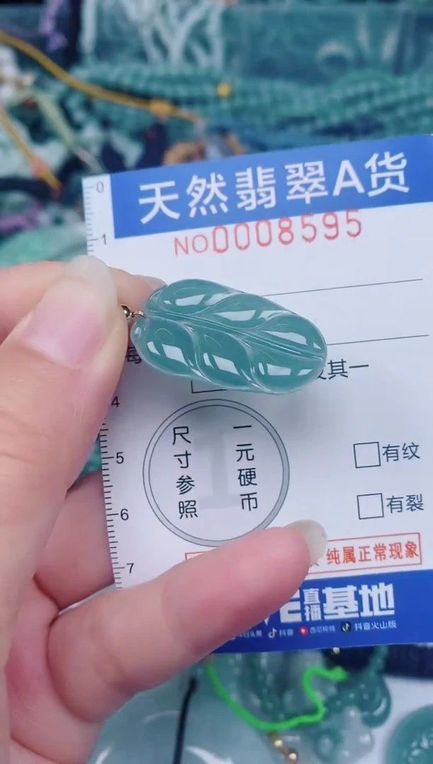 颈饰未镶嵌翡翠00008595