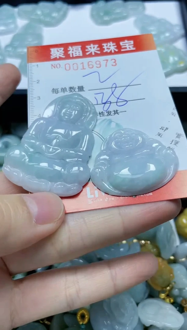 【闪购商品】翡翠颈饰未镶嵌闪购0016973