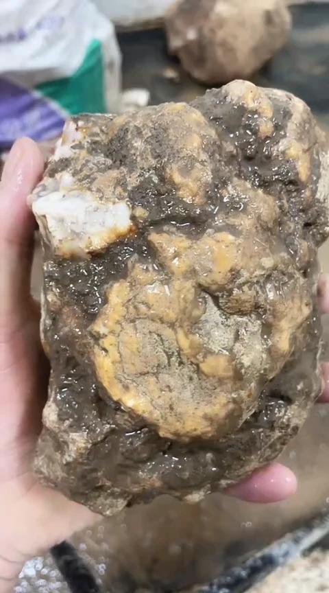 定制玛瑙虎*。原石700427