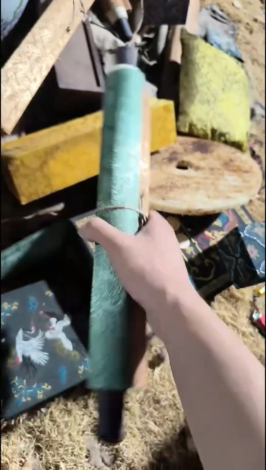 香榧木（1个绿色普通话）
