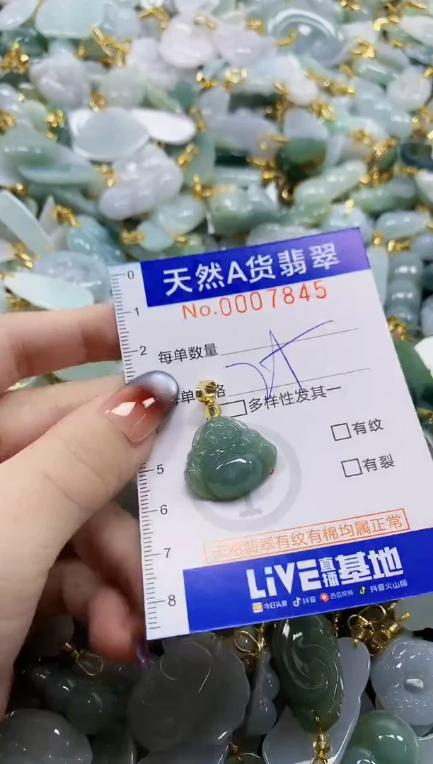 颈饰未镶嵌翡翠天然A货翡翠