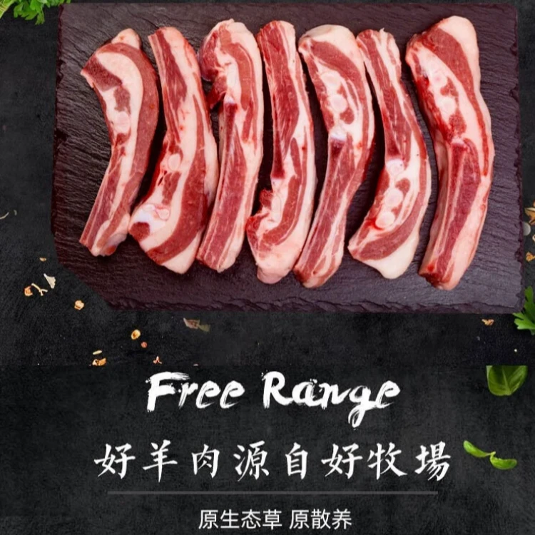 Y3草原羊羊肋排清炖红烧炖煮羊肋排切块2.5kg