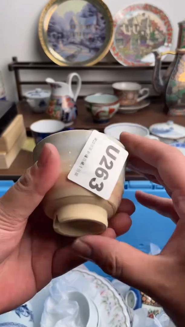 【闪购商品】瓷片263-U-满20包邮48h凑单