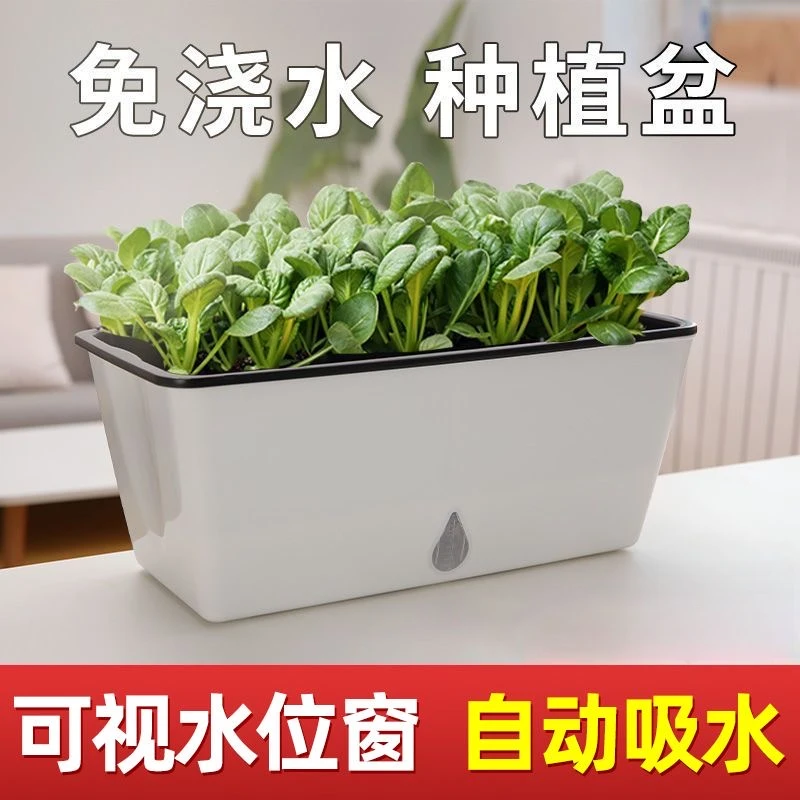 自吸水懒人花盆专用盆种花种菜盆塑料吸水种植盆栽室内绿植长方形