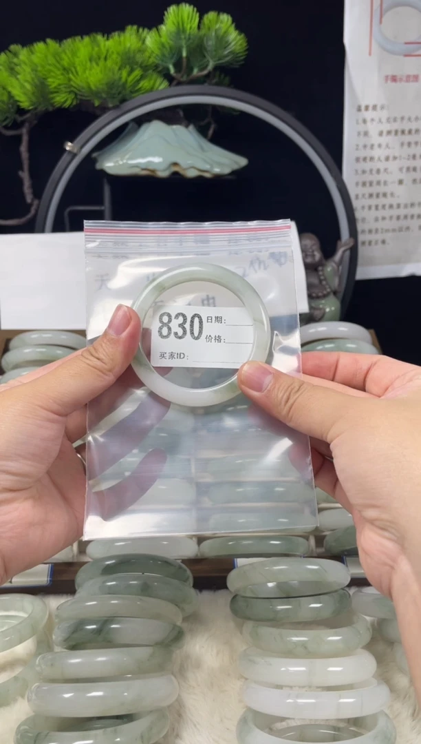 未镶嵌手镯石英质玉（天山翠）830