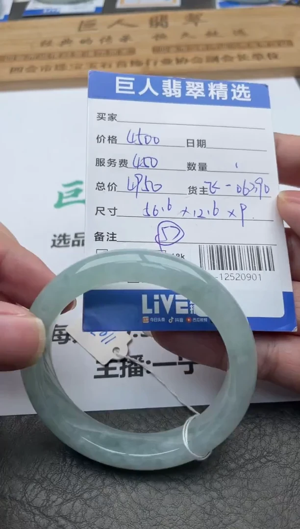 颈饰未镶嵌翡翠手镯多人-12520901