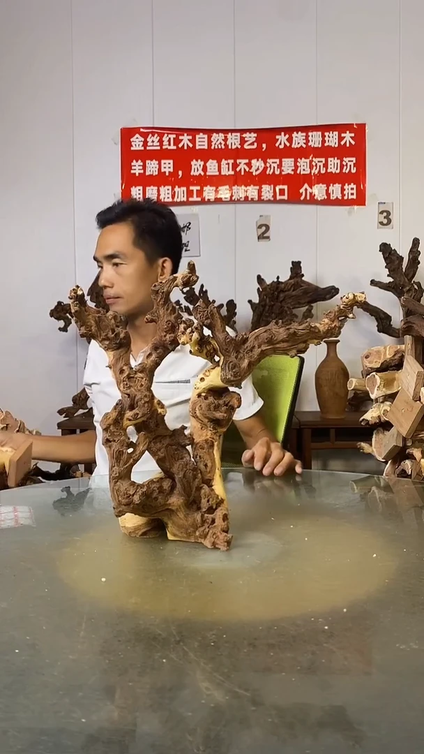 香榧木新****馆金丝红木   羊蹄甲