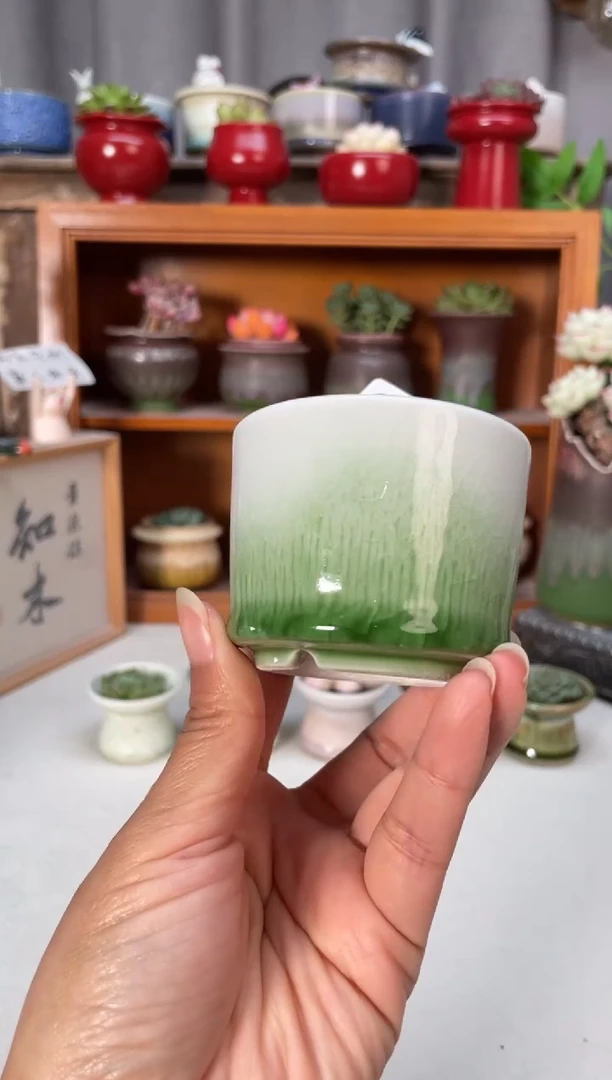 瓷片129小芳花盆直播编号