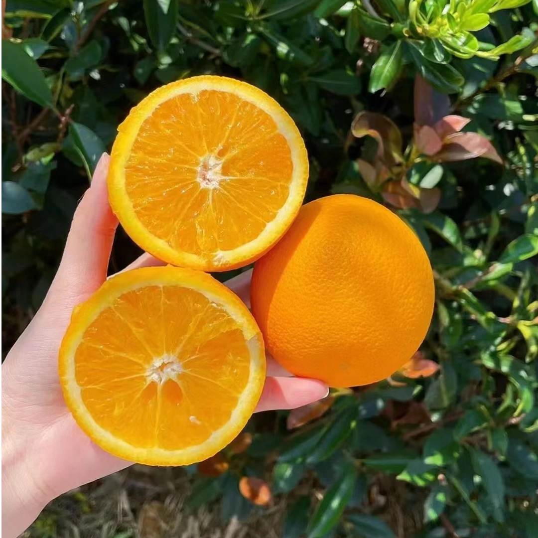 赣南脐橙上堡水南村脐橙10斤20斤九省包邮橙子