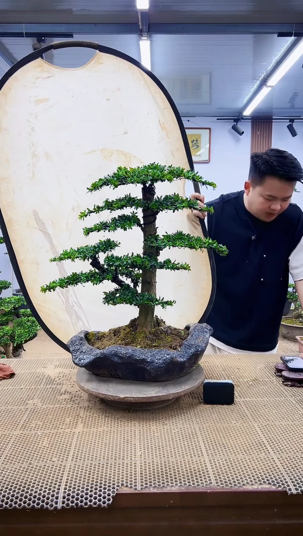 无花朵一物一拍，所见即所得