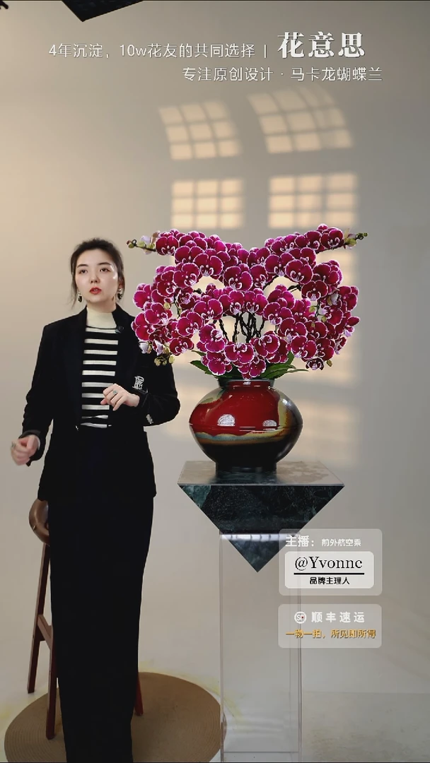 全部花朵012一物一拍蝴蝶兰艺术盆景