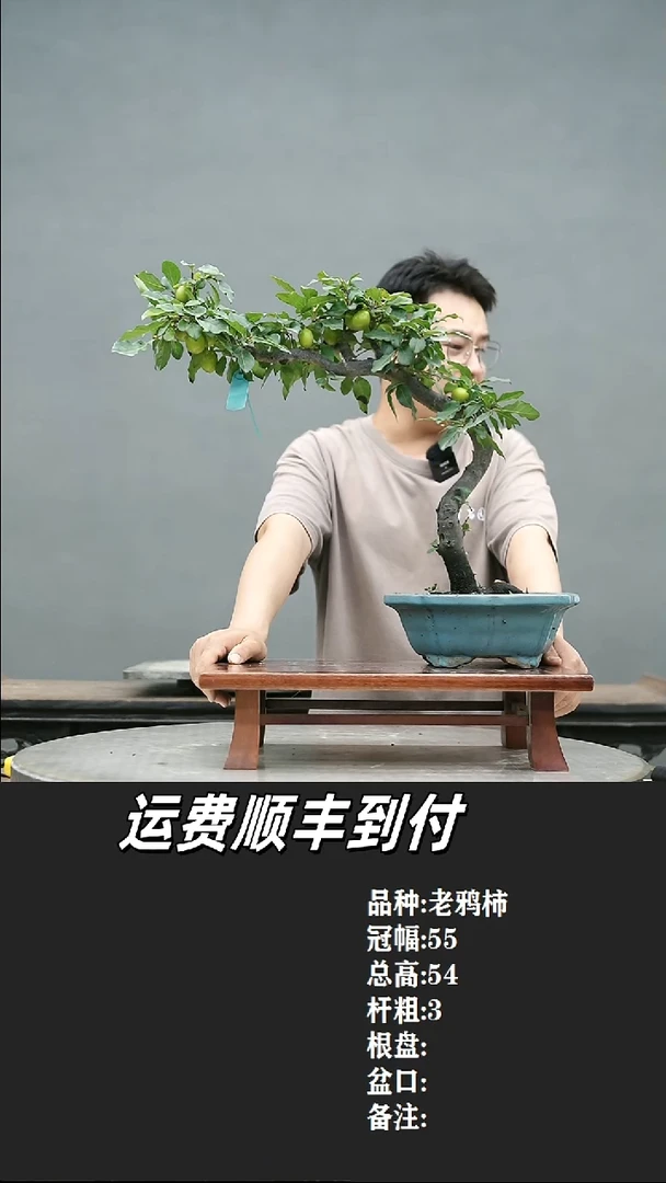 无**果2 老鸦柿