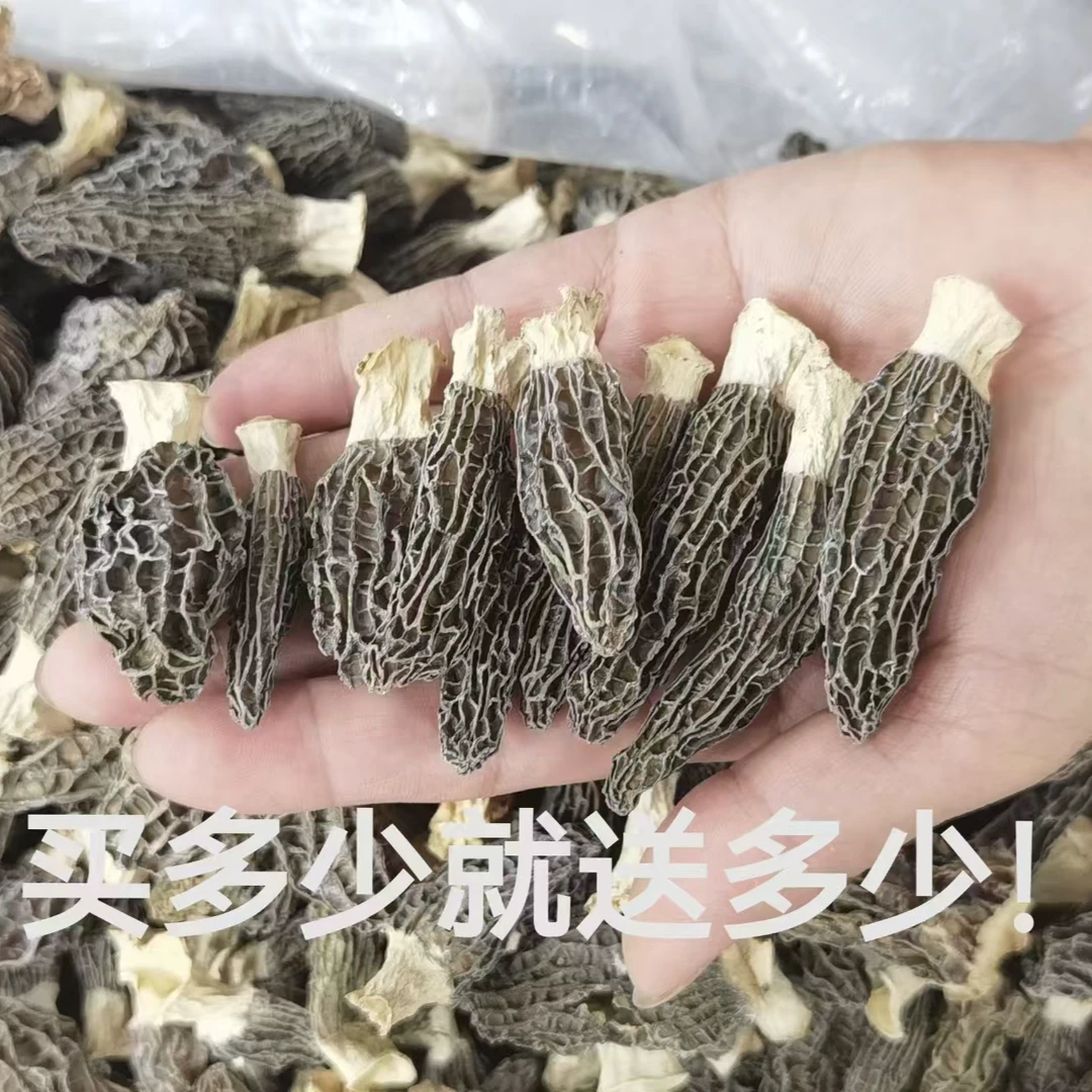 3-5公分云南高山羊肚菌250g