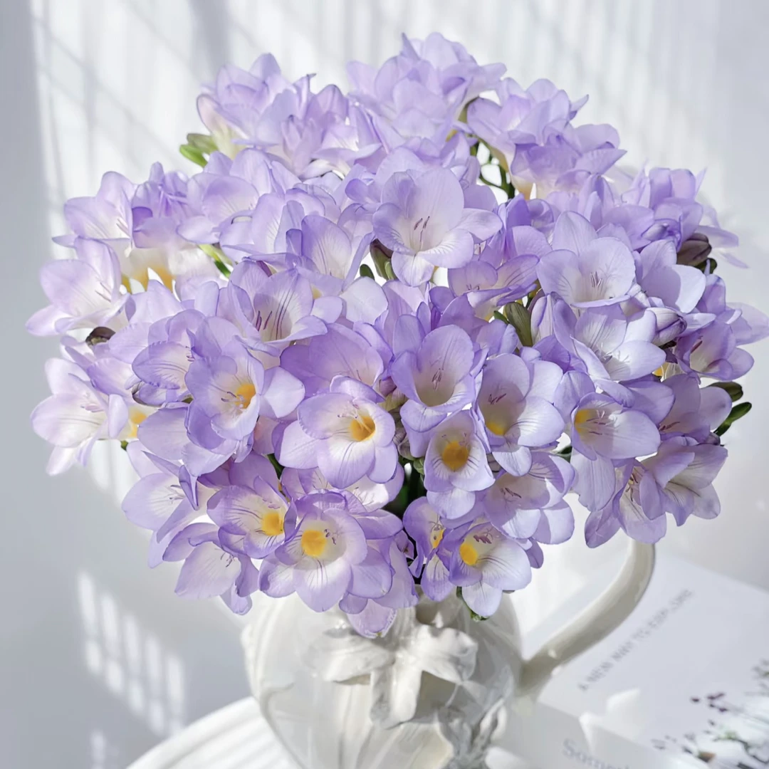 【精选紫色香雪兰10枝一把】小苍兰 全季花语鲜花 【拍2单送5枝随机色翠珠】