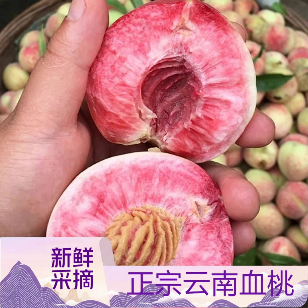 云南新鲜胭脂红血桃当季现摘现发美味水果新鲜水果香甜多汁