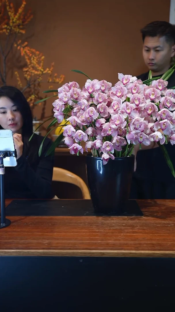 全部花朵草莓露露盆景盆景盆景