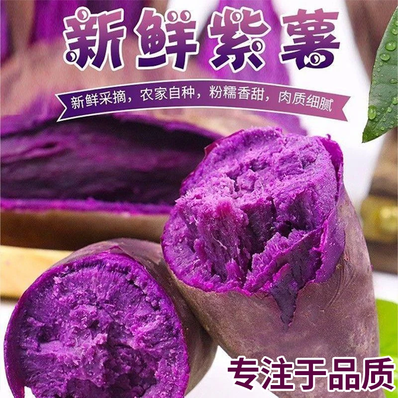 【与辉】香甜产地粗粮沙地软糯紫薯地瓜口感好大果直发果包赔新鲜