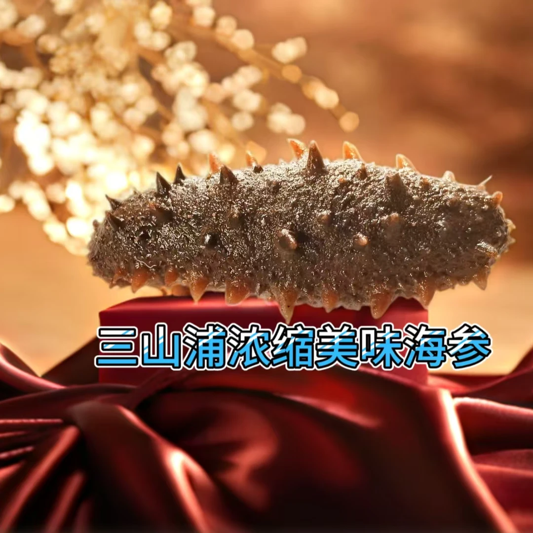 三山浦浓缩美味海参冷冻海鲜