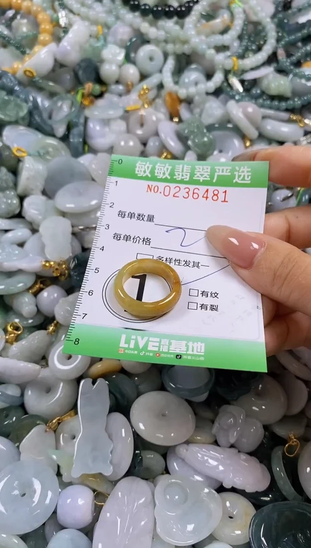 翡翠未镶嵌颈饰闪购0236481